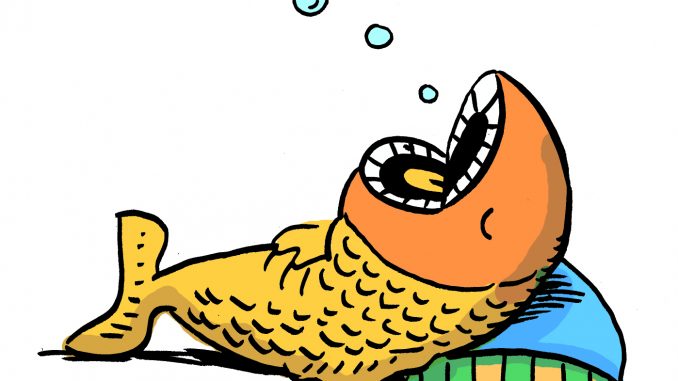 ikan tidur ikan tidur