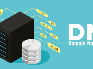 domain name system