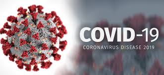 Virus Corona Berasal Darimana