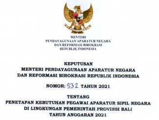CPNS Provinsi Bali 2021