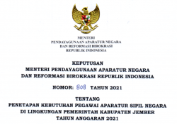 Formasi CPNS PPPK 2021 Kabupaten Jember