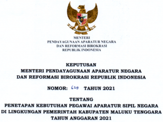 CPNS 2021 Kabupaten Maluku Tenggara