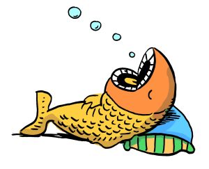 ikan tidur