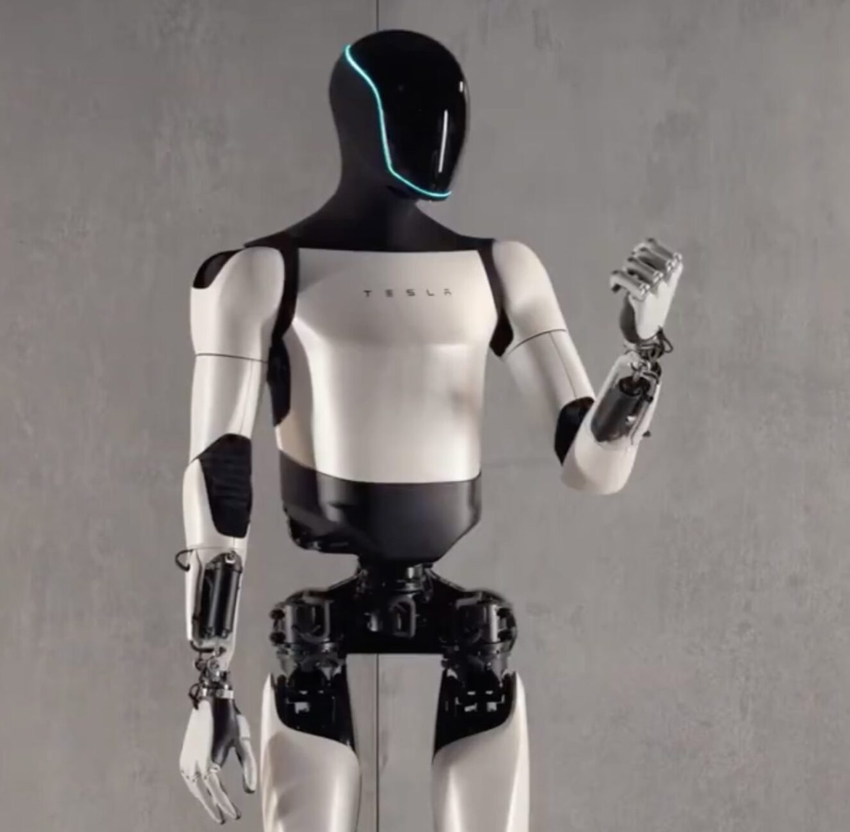 robot tesla