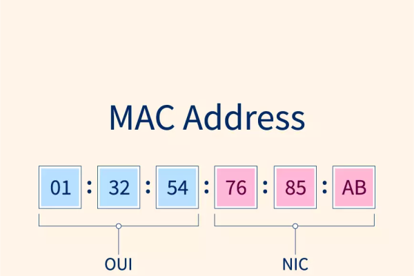 mac address